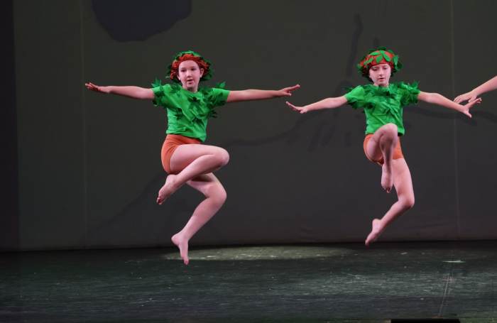 Foto della scuola Pirouette ASD