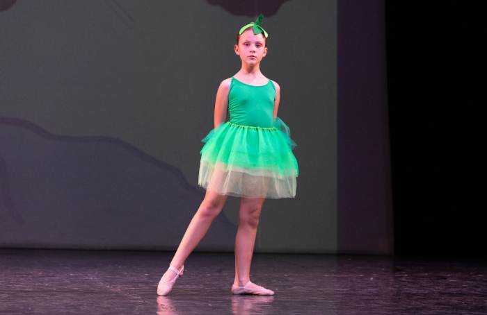 Foto della scuola Pirouette ASD