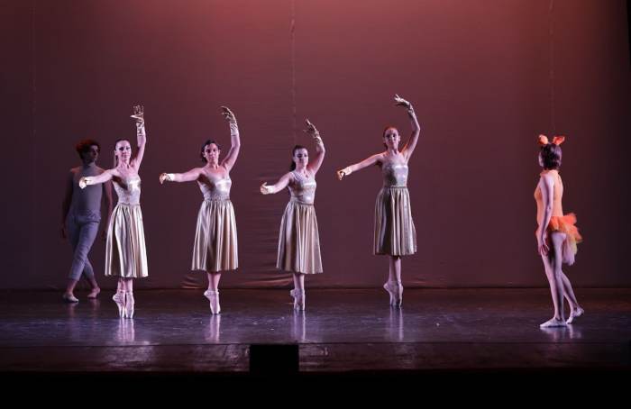 Foto della scuola Pirouette ASD