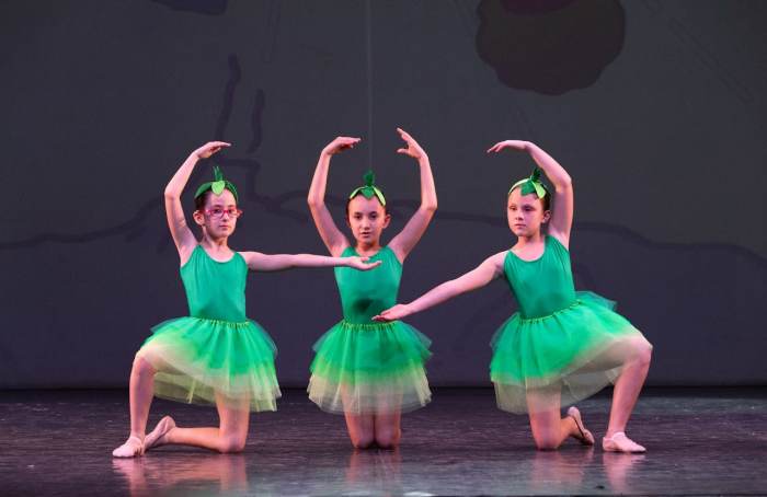 Foto della scuola Pirouette ASD
