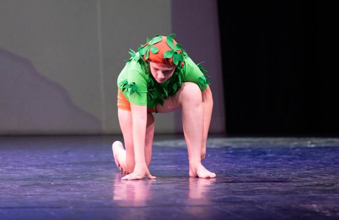 Foto della scuola Pirouette ASD
