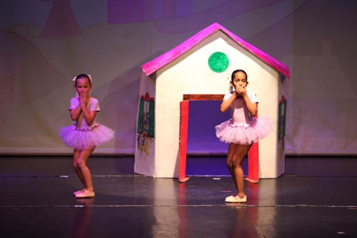 Foto della scuola Pirouette ASD