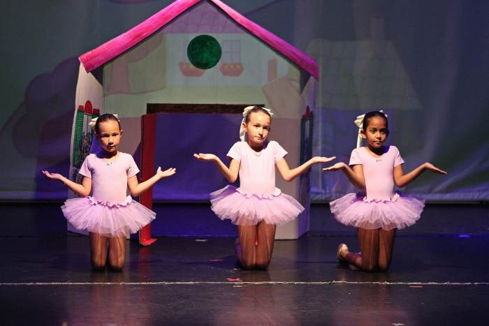 Foto della scuola Pirouette ASD