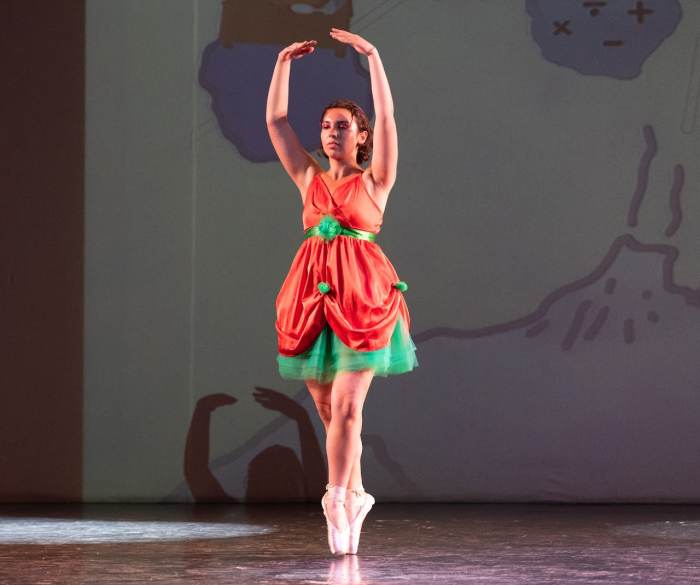Foto della scuola Pirouette ASD